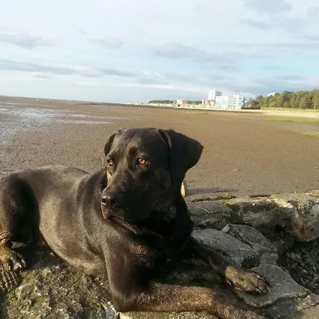 شقة Frische Brise Wagner كوكسهافن